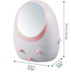 Oval Mirror Cosmetic Storage Organizer, LED Light Makeup Storage Box.