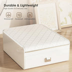 Luxury Jewelry Organizer with Built-in Mirror & Drawer – Elegant White & Gold Decor